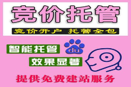 SEM外包助力企业快速响应市场案例